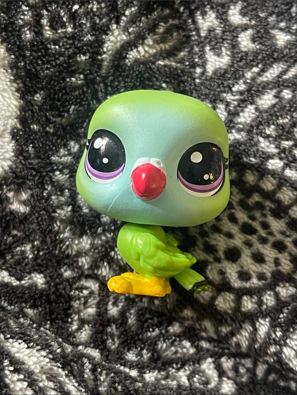 LPS parakeet